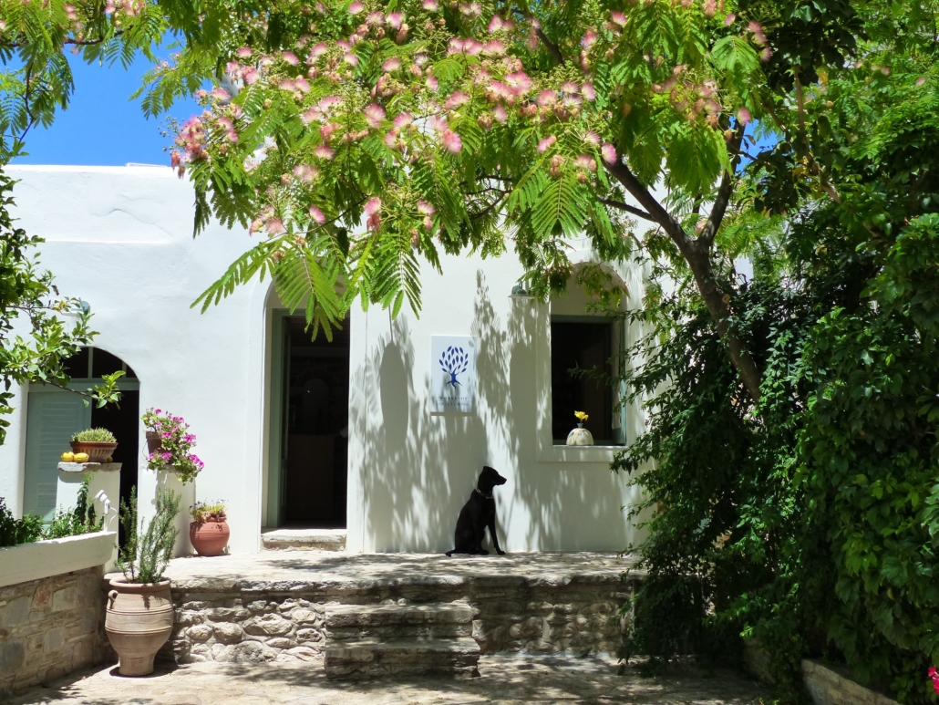 Fish & Olive atelier Halki Naxos