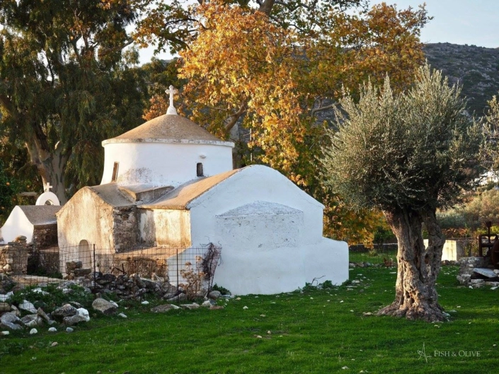 Χαλκί Τραγαία Νάξος