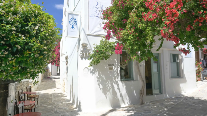 Outdoor view of Fish Olive Gallery Halki Naxos